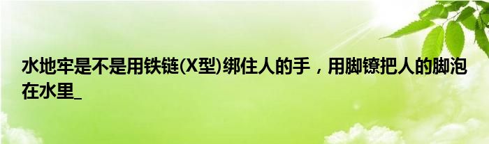 水地牢是不是用铁链(X型)绑住人的手，用脚镣把人的脚泡在水里_