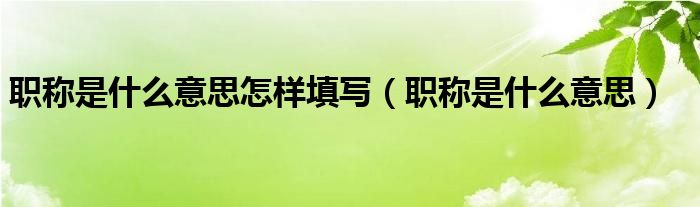职称是什么意思怎样填写（职称是什么意思）
