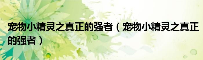 宠物小精灵之真正的强者（宠物小精灵之真正的强者）