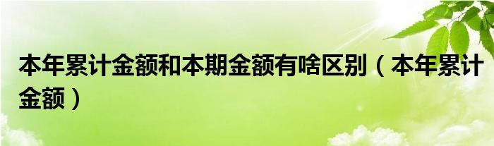 本年累计金额和本期金额有啥区别（本年累计金额）