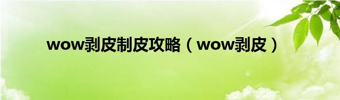 wow剥皮制皮攻略（wow剥皮）