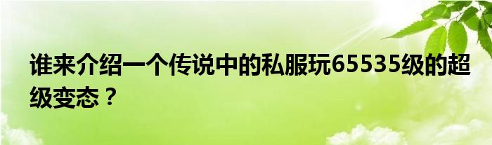 谁来介绍一个传说中的私服玩65535级的超级变态？