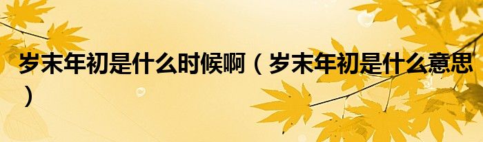 岁末年初是什么时候啊（岁末年初是什么意思）