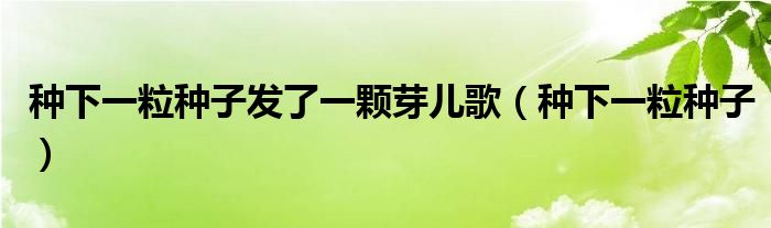 种下一粒种子发了一颗芽儿歌（种下一粒种子）