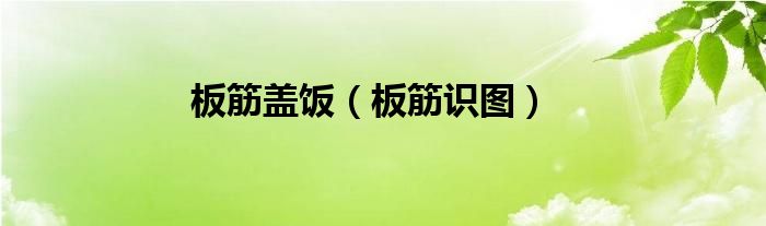 板筋盖饭（板筋识图）