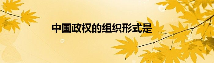 中国政权的组织形式是