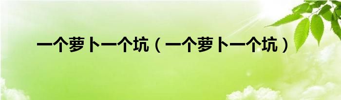一个萝卜一个坑（一个萝卜一个坑）