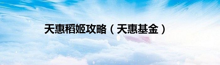 天惠稻姬攻略（天惠基金）