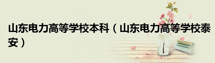 山东电力高等学校本科（山东电力高等学校泰安）