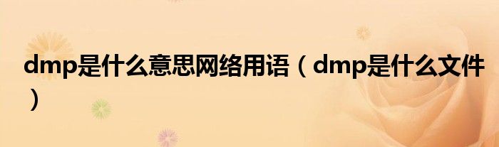 dmp是什么意思网络用语（dmp是什么文件）