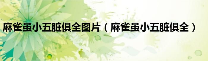 麻雀虽小五脏俱全图片（麻雀虽小五脏俱全）