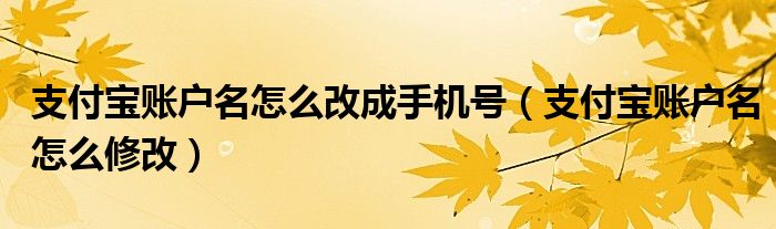 支付宝账户名怎么改成手机号（支付宝账户名怎么修改）