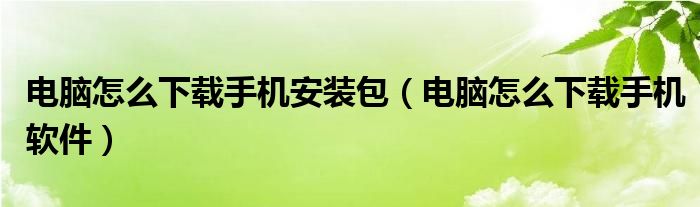 电脑怎么下载手机安装包（电脑怎么下载手机软件）