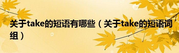 关于take的短语有哪些（关于take的短语词组）