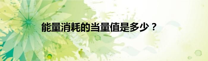 能量消耗的当量值是多少？