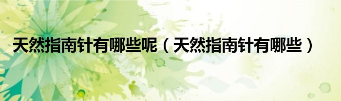 天然指南针有哪些呢（天然指南针有哪些）