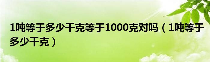1吨等于多少千克等于1000克对吗（1吨等于多少千克）