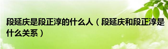 段延庆是段正淳的什么人（段延庆和段正淳是什么关系）