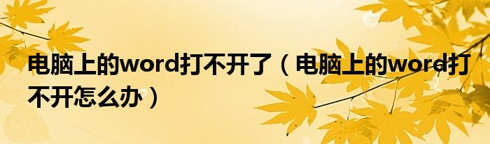 电脑上的word打不开了（电脑上的word打不开怎么办）