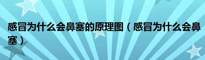 感冒为什么会鼻塞的原理图（感冒为什么会鼻塞）