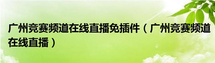 广州竞赛频道在线直播免插件（广州竞赛频道在线直播）