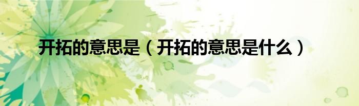 开拓的意思是（开拓的意思是什么）