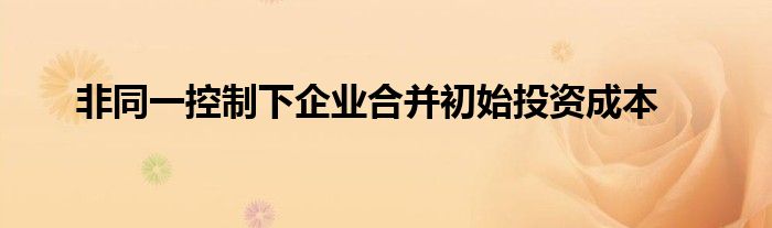 非同一控制下企业合并初始投资成本