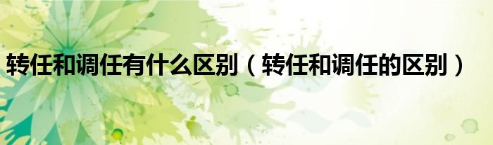 转任和调任有什么区别（转任和调任的区别）