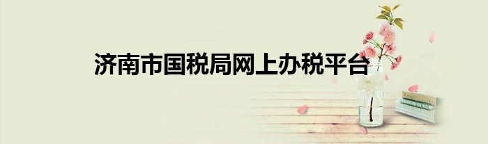 济南市国税局网上办税平台