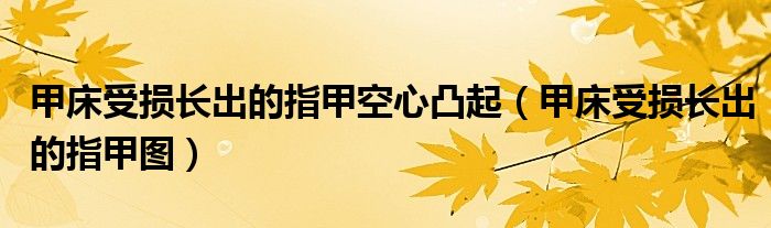 甲床受损长出的指甲空心凸起（甲床受损长出的指甲图）