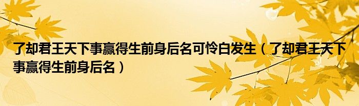 了却君王天下事赢得生前身后名可怜白发生（了却君王天下事赢得生前身后名）