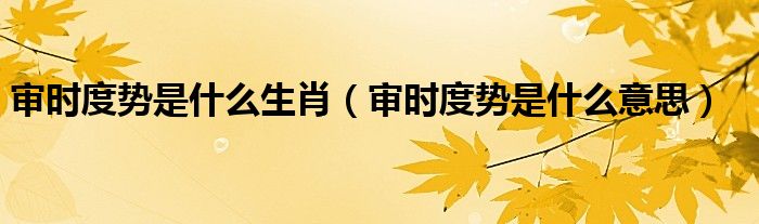 审时度势是什么生肖（审时度势是什么意思）