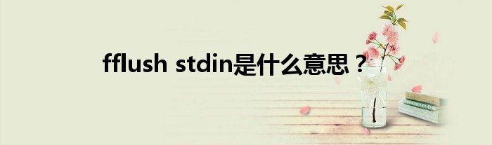 fflush stdin是什么意思？