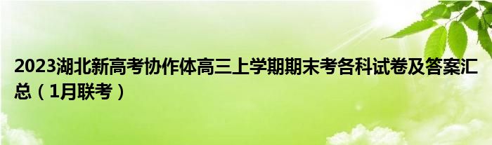 2023湖北新高考协作体高三上学期期末考各科试卷及答案汇总（1月联考）