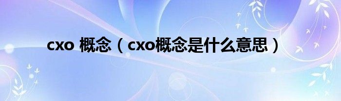 cxo 概念（cxo概念是什么意思）