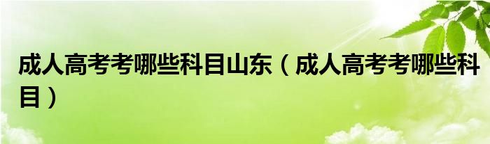 成人高考考哪些科目山东（成人高考考哪些科目）