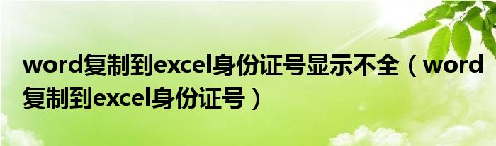word复制到excel身份证号显示不全（word复制到excel身份证号）