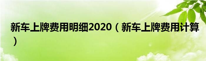 新车上牌费用明细2020（新车上牌费用计算）