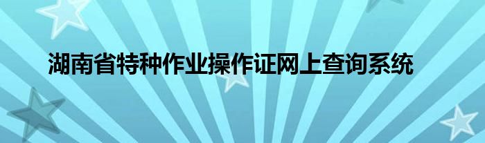 湖南省特种作业操作证网上查询系统