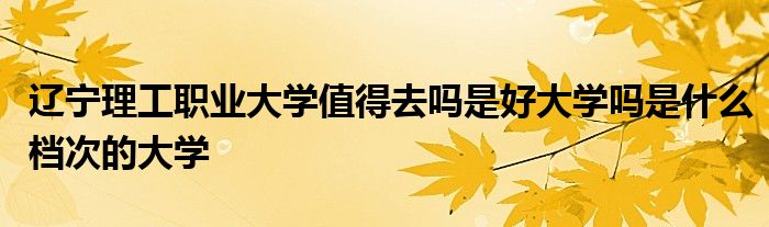 辽宁理工职业大学值得去吗是好大学吗是什么档次的大学