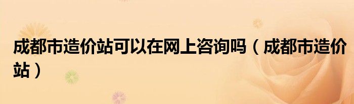 成都市造价站可以在网上咨询吗（成都市造价站）