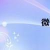 微子启后代（微子启）