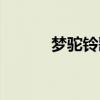 梦驼铃歌曲张宇（梦驼铃歌曲）