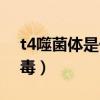 t4噬菌体是什么核生物（t4噬菌体是什么病毒）