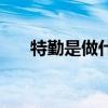 特勤是做什么工作（特勤是做什么的）