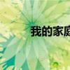 我的家庭往事回忆录（我的家庭）