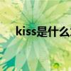 kiss是什么意思中文（kiss是什么意思）