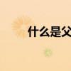 什么是父爱如山（什么是FAI报告）