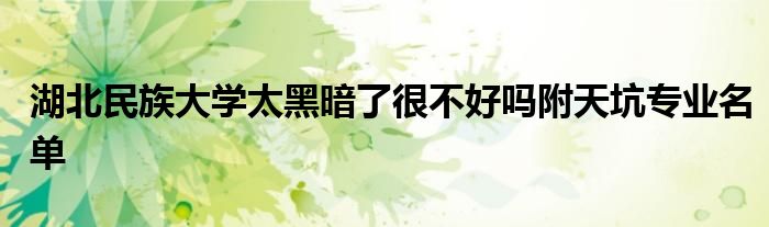 湖北民族大学太黑暗了很不好吗附天坑专业名单