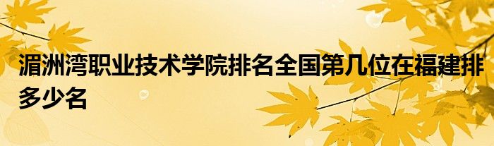 湄洲湾职业技术学院排名全国第几位在福建排多少名